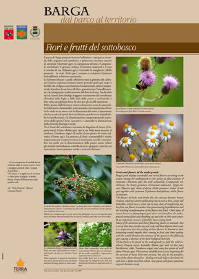 pannelli didattici
