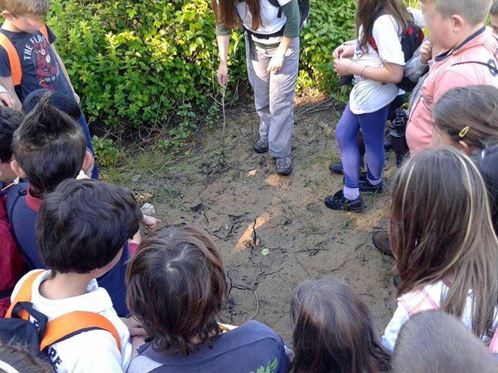educazione ambientale